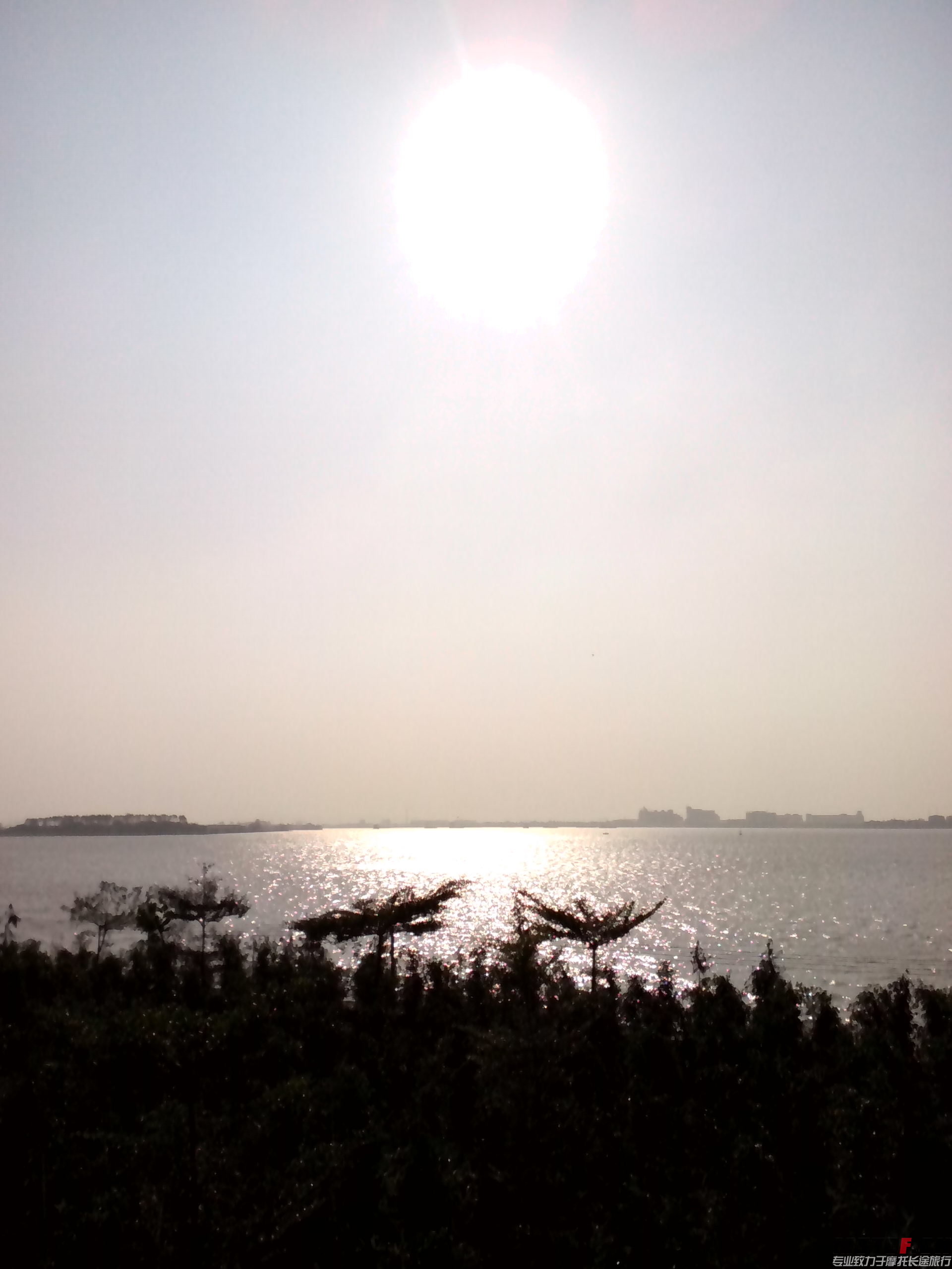IMG_20131219_150117.jpg