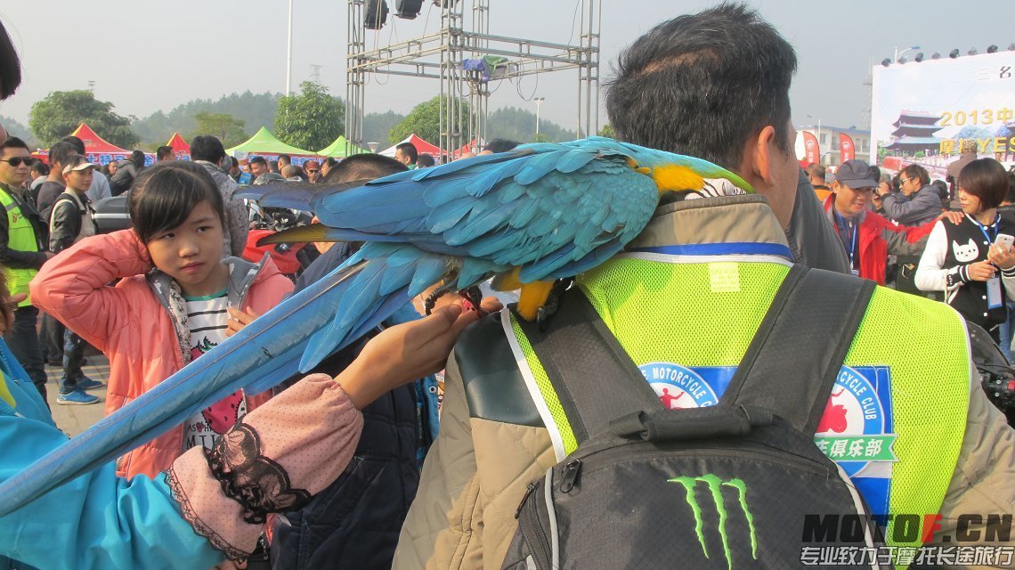 150.jpg