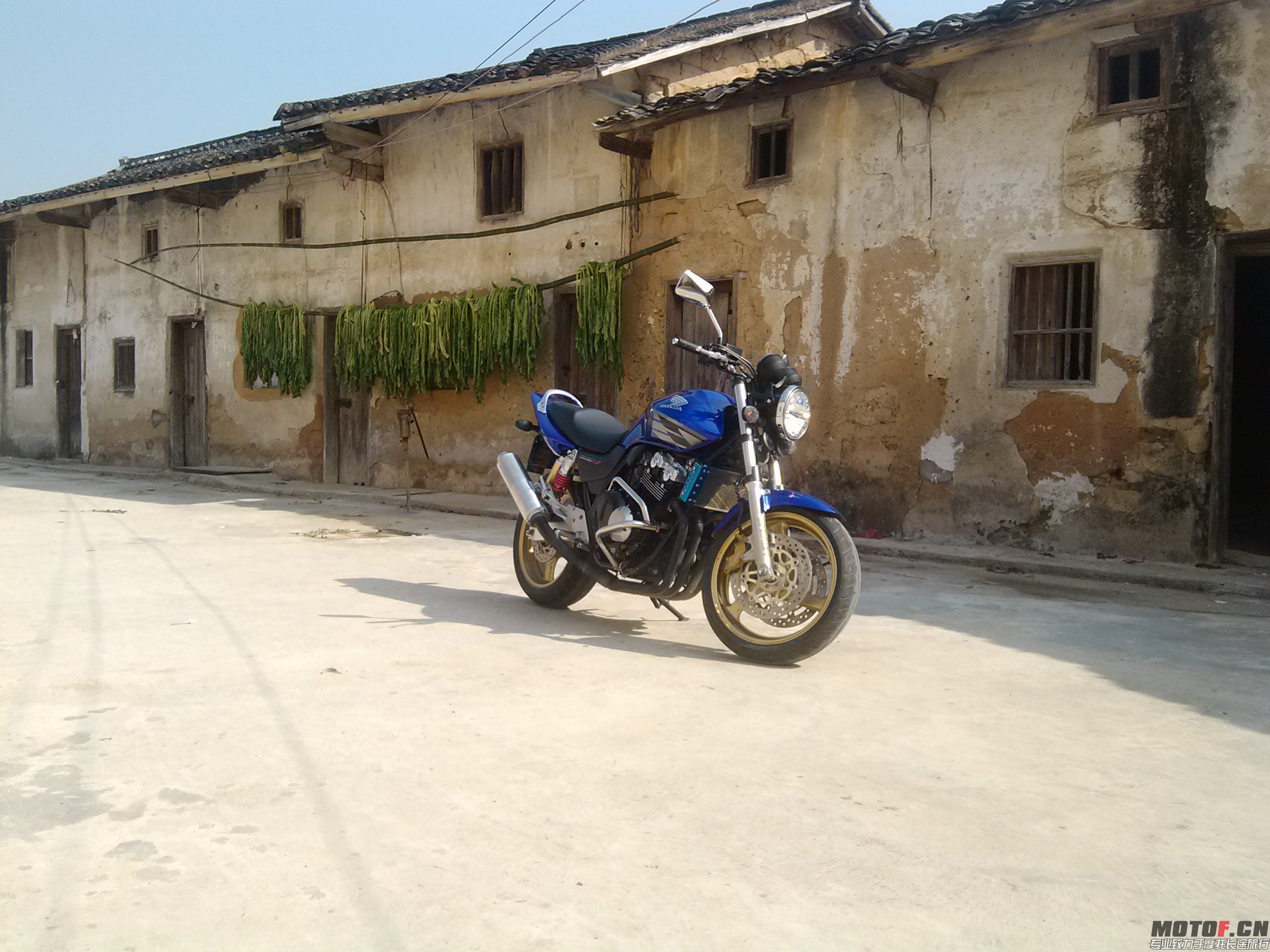 CAM00821.jpg