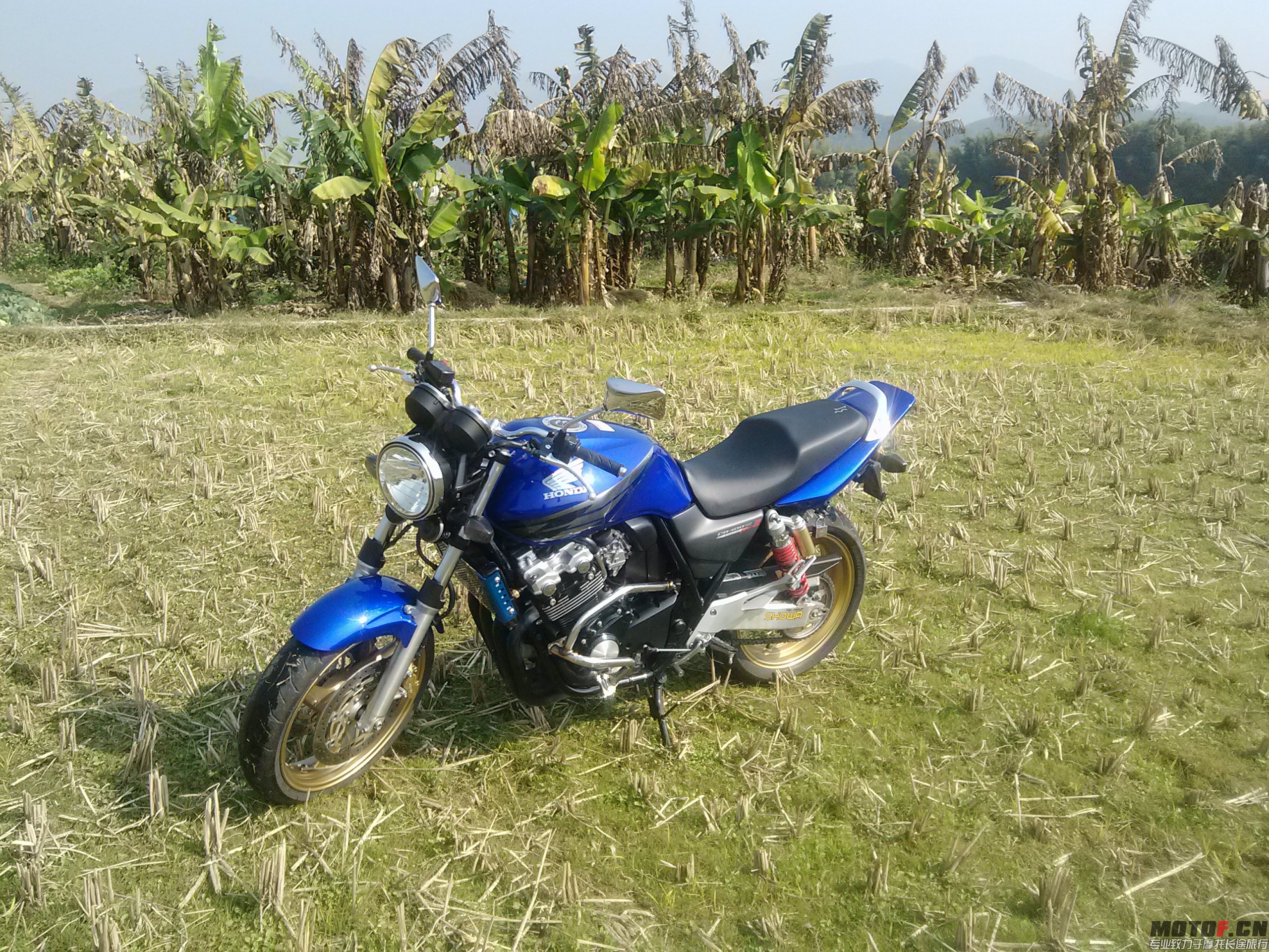 CAM00842.jpg