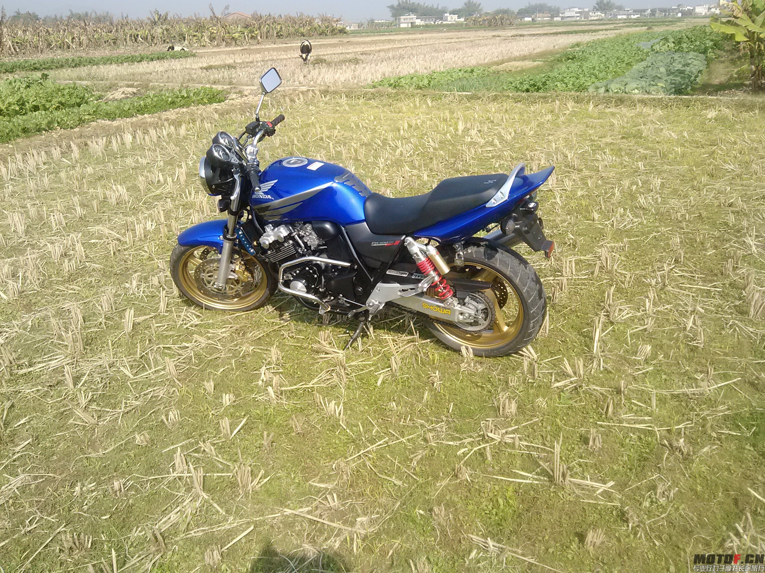 CAM00850.jpg