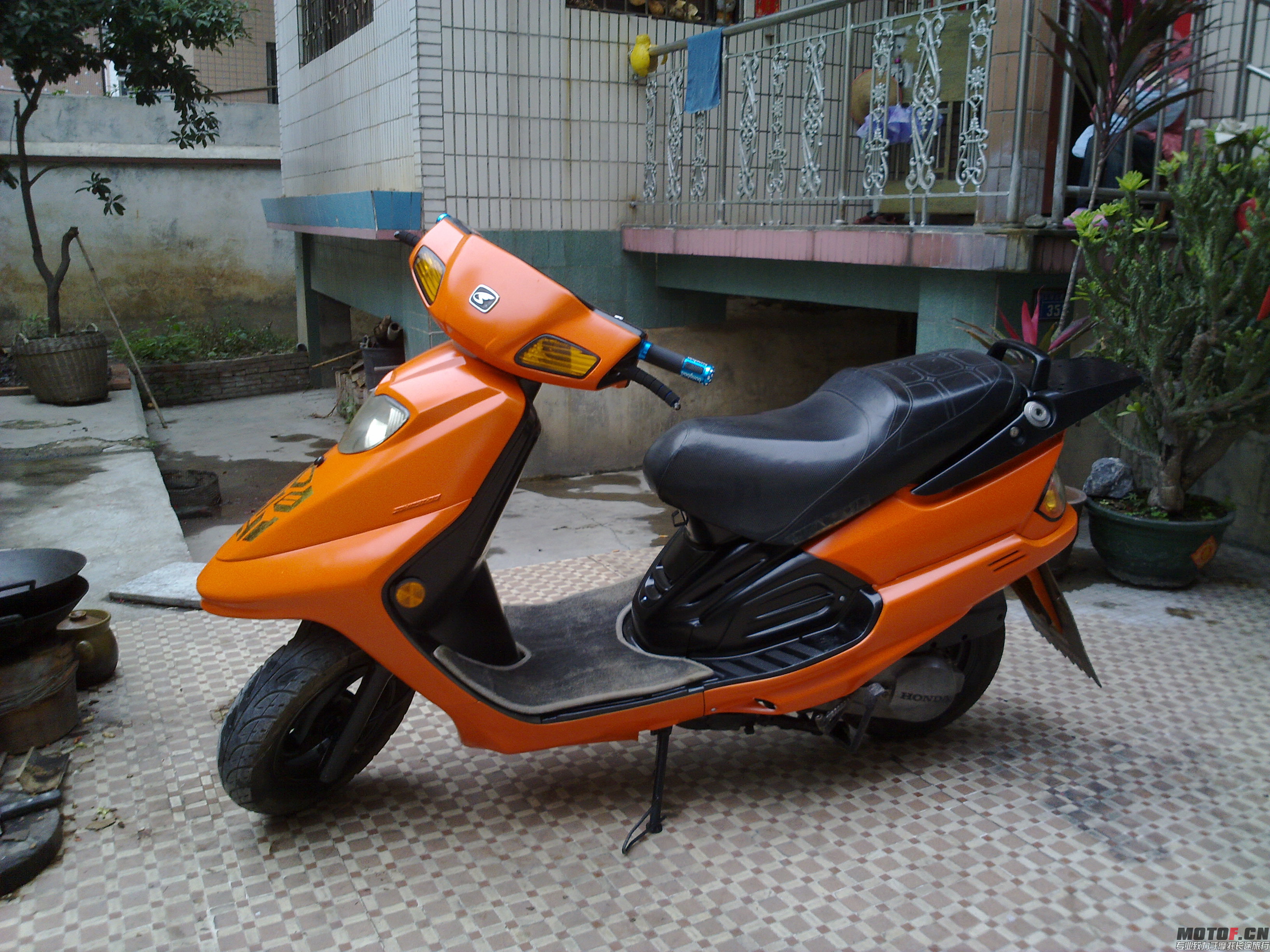 20130302005.jpg