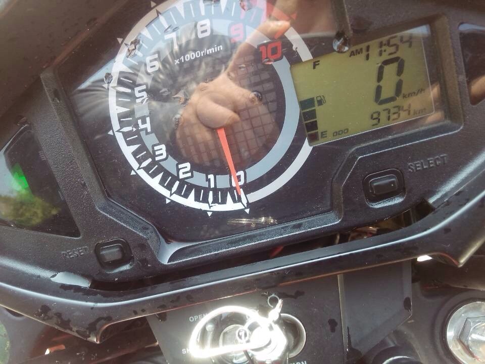 QQ图片20131225120728.jpg