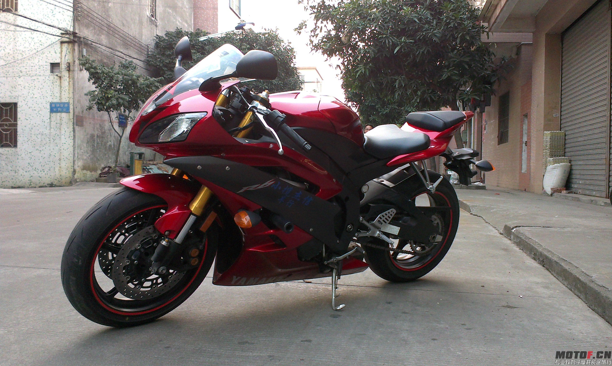 牵出我的小毛驴