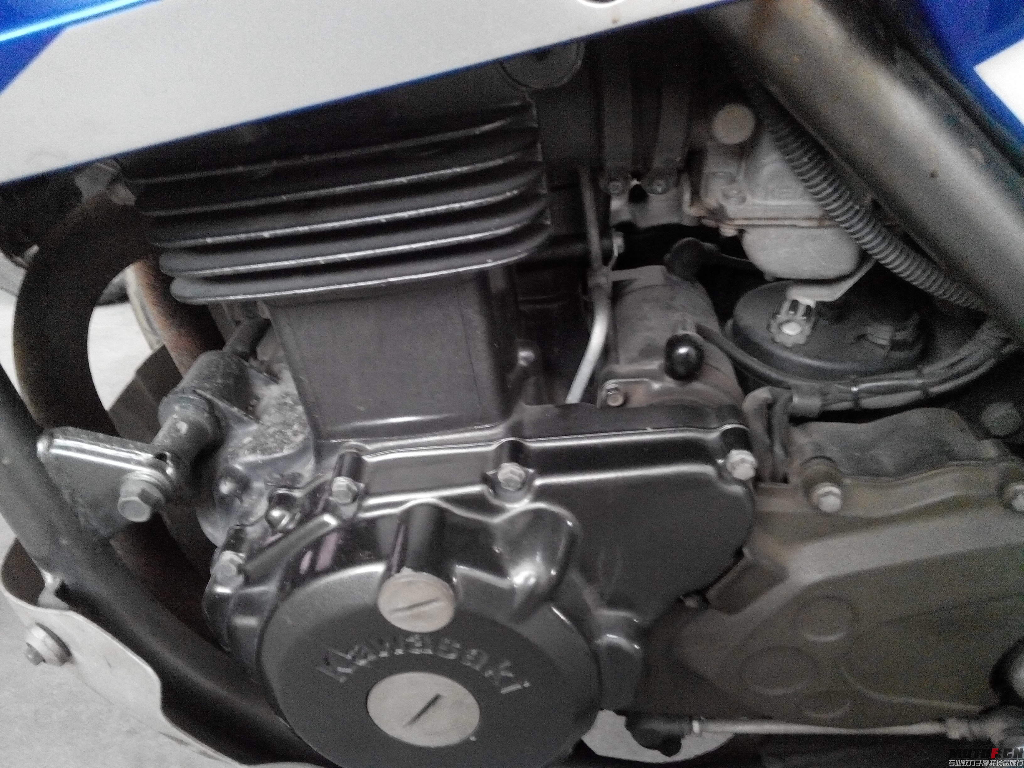 IMG_20131227_135641.jpg