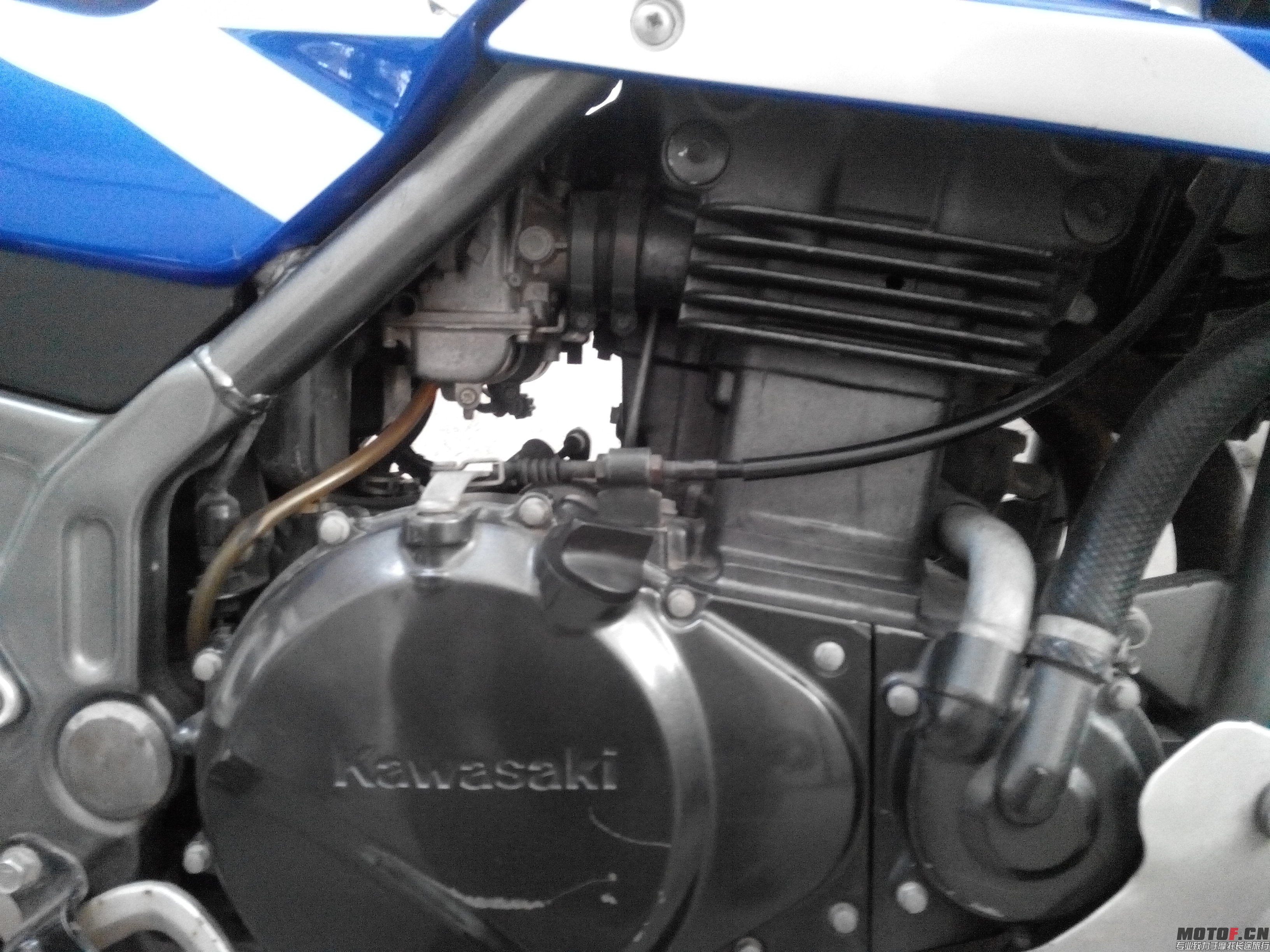 IMG_20131227_135741.jpg