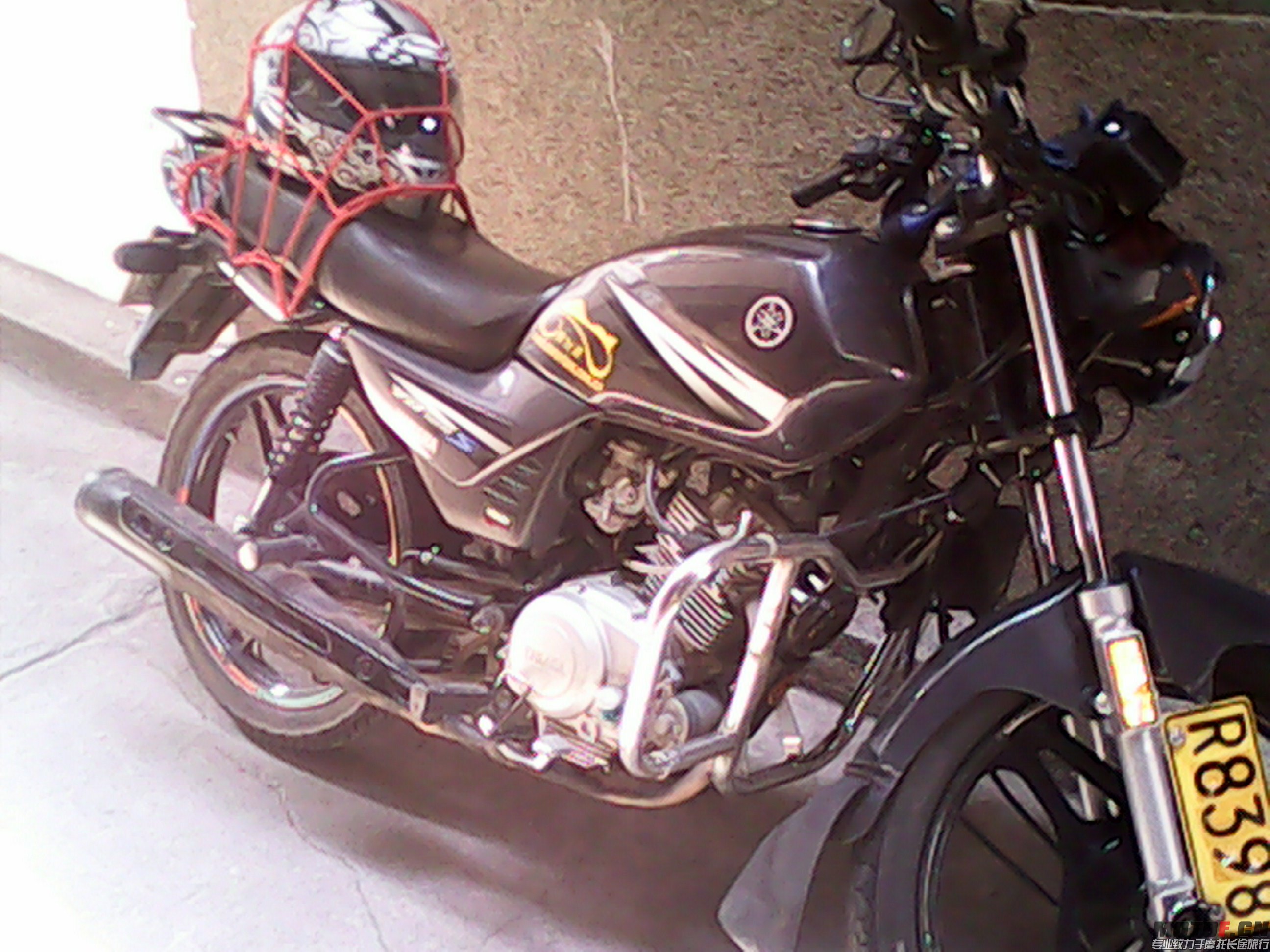 IMG_20131228_124835720.jpg