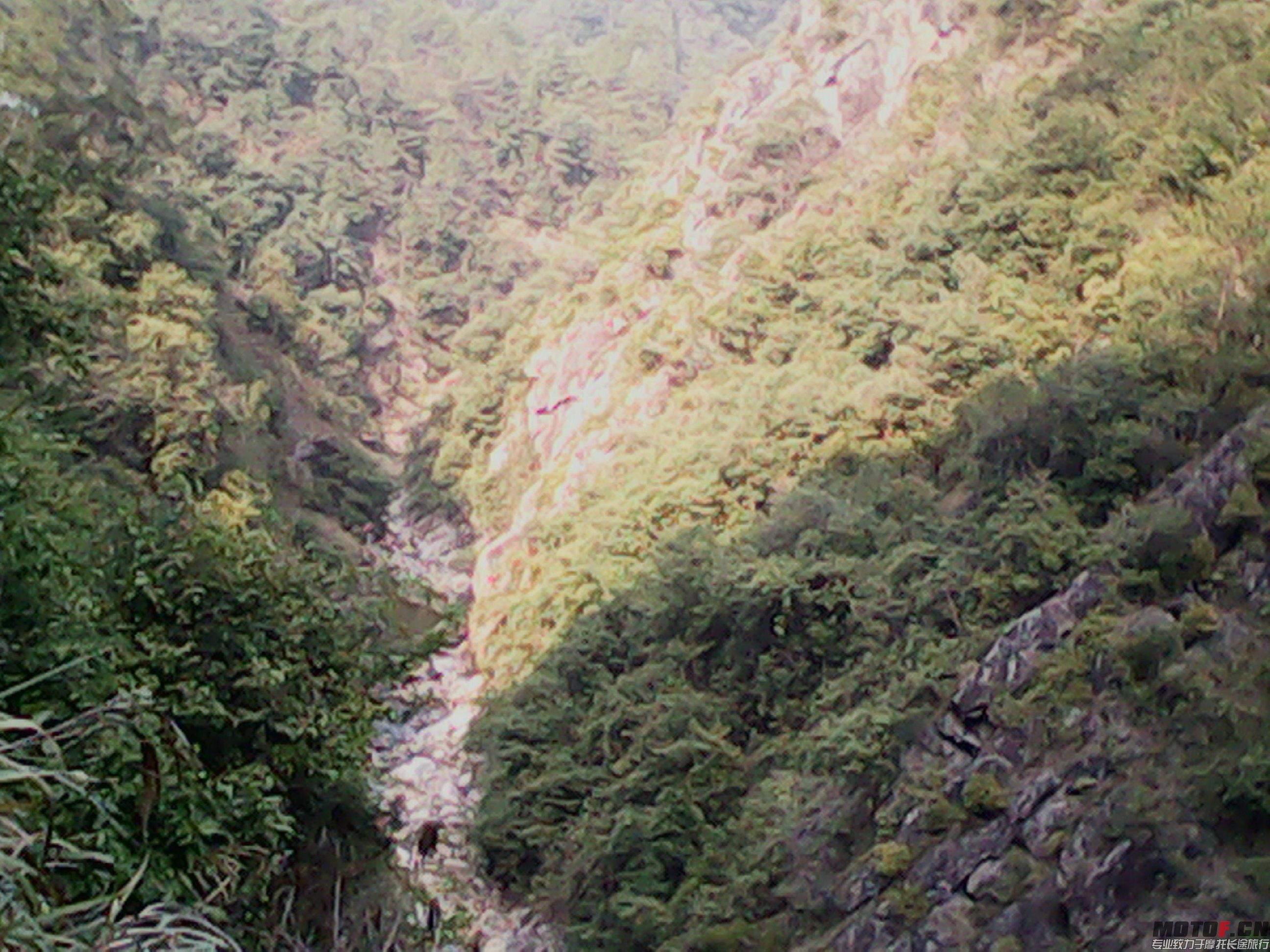 IMG_20131228_134944332.jpg