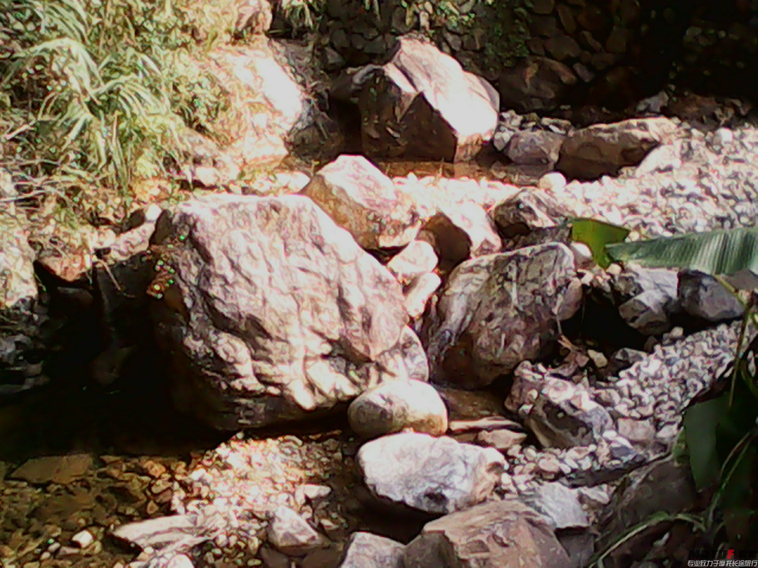 IMG_20131228_140735694.jpg