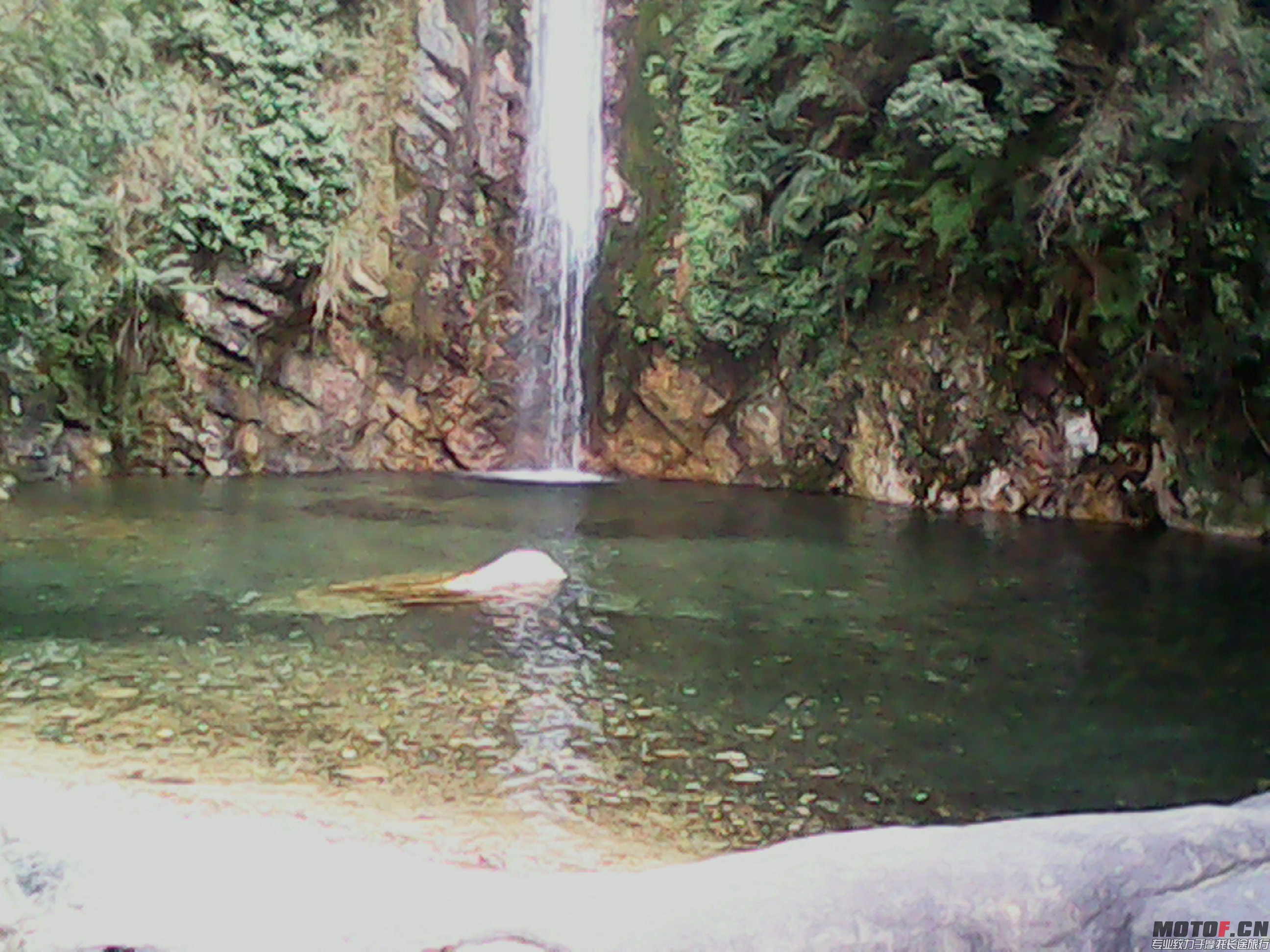 IMG_20131228_140853605.jpg
