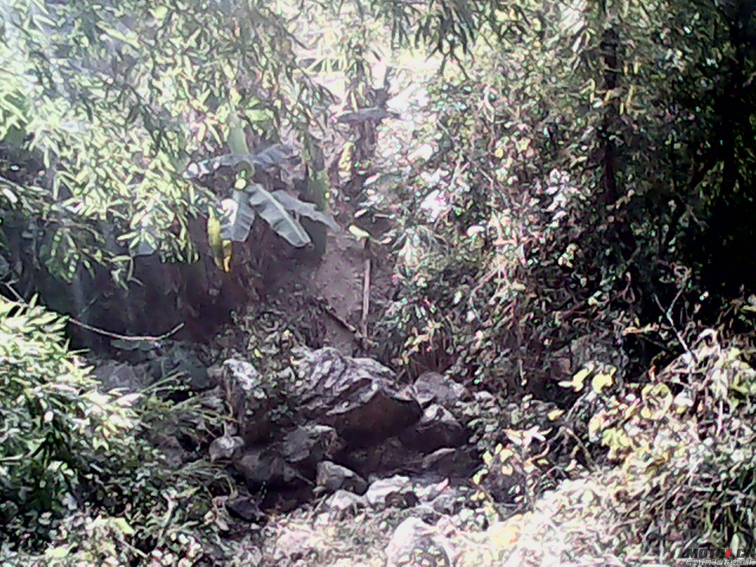 IMG_20131228_142014461.jpg