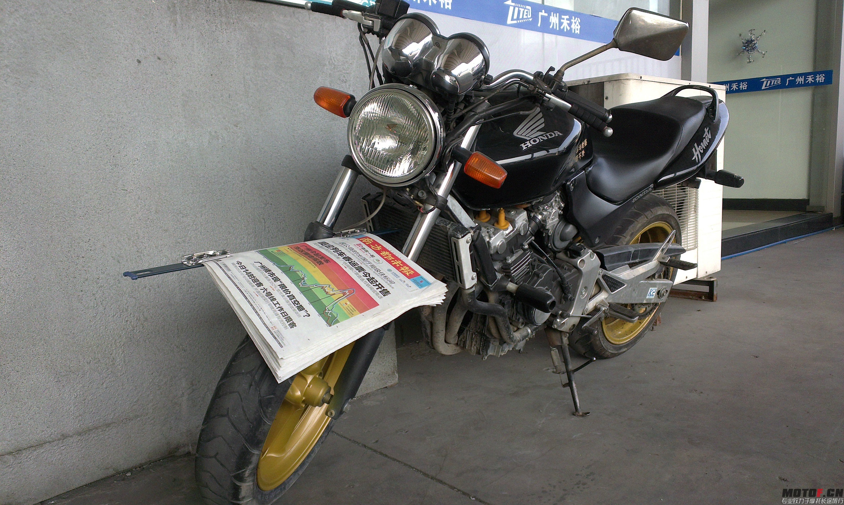 IMAG0941.jpg