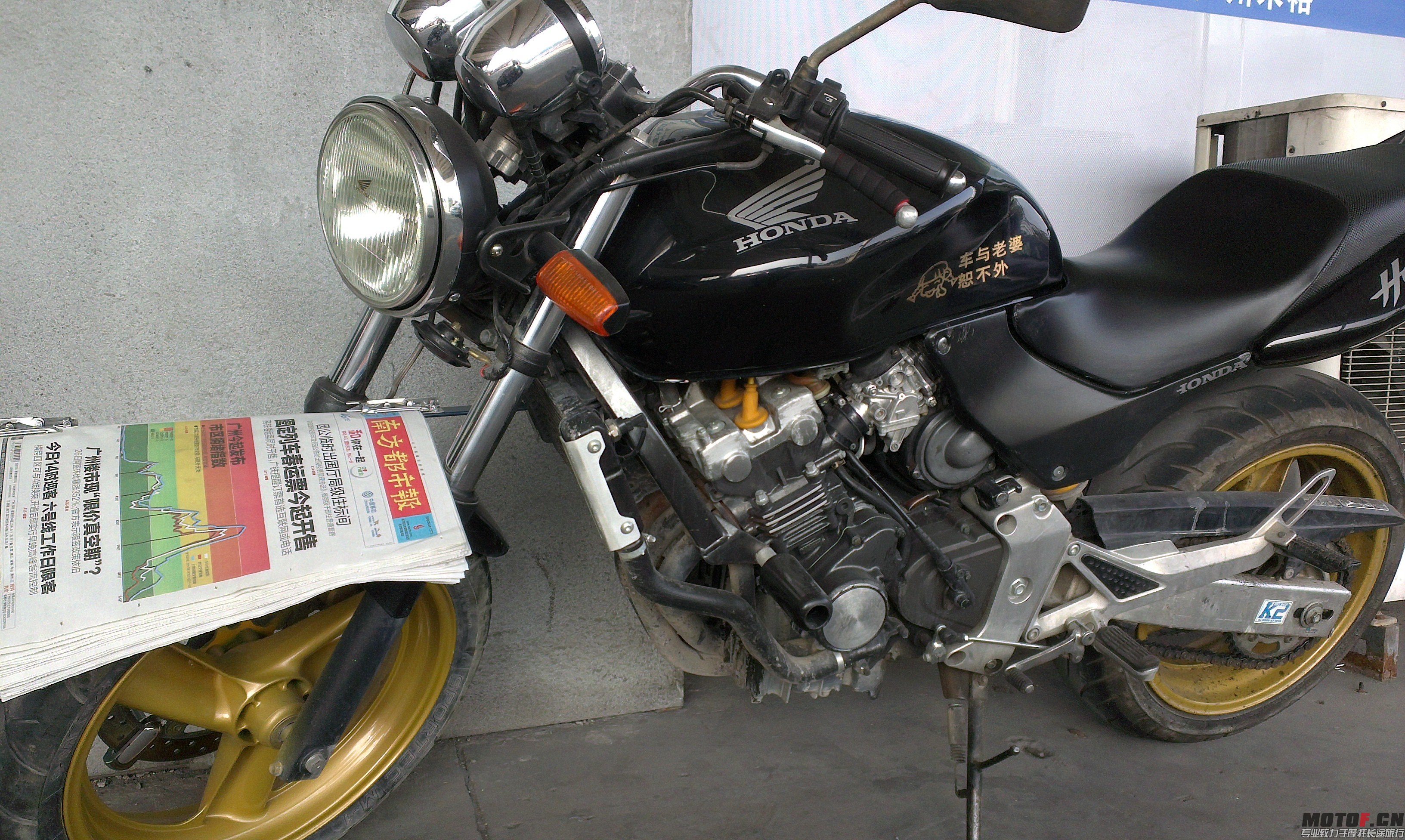IMAG0942.jpg