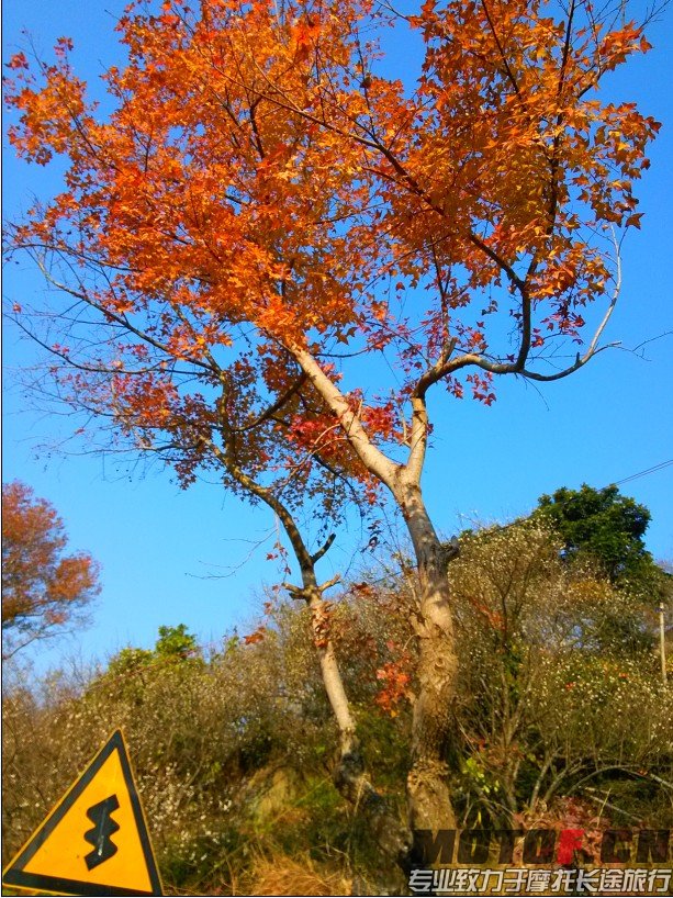 QQ图片20131231125326.jpg