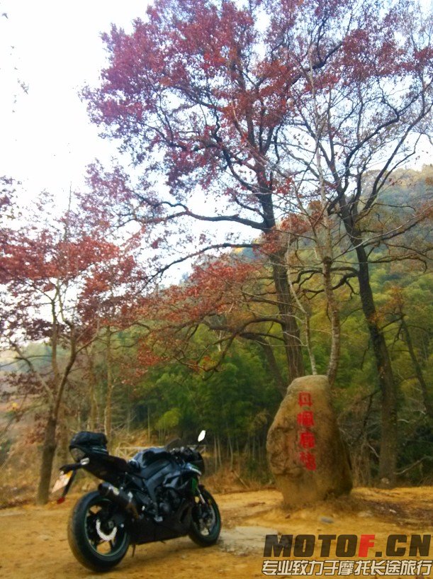 QQ图片20131231125402.jpg