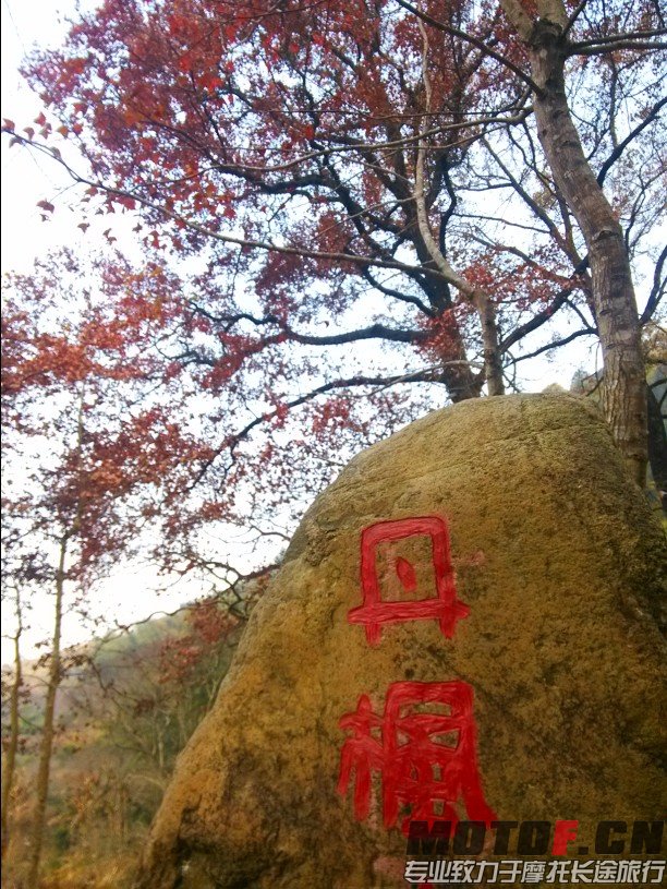 QQ图片20131231125419.jpg