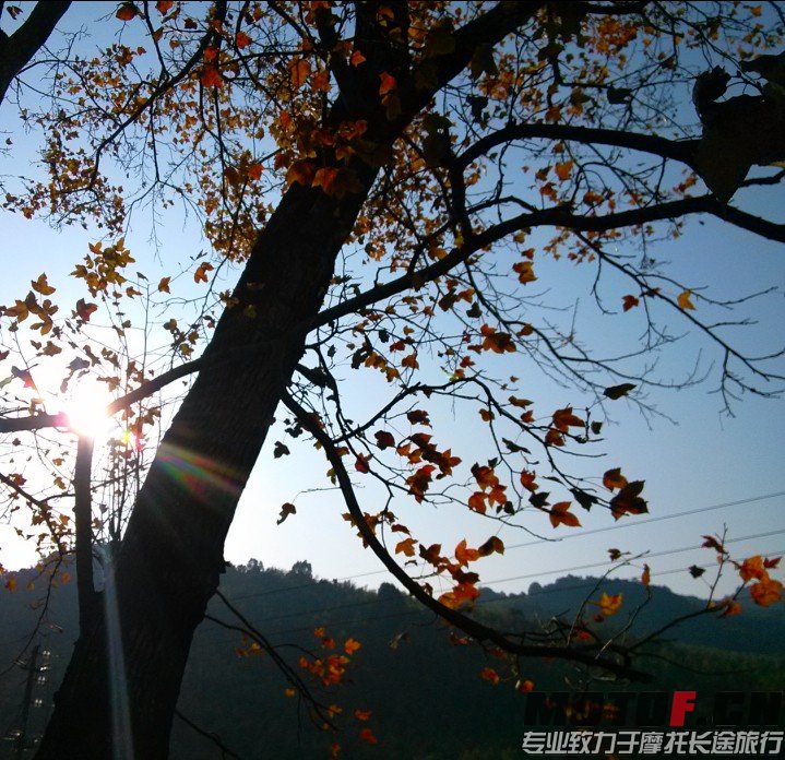 QQ图片20131231125601.jpg