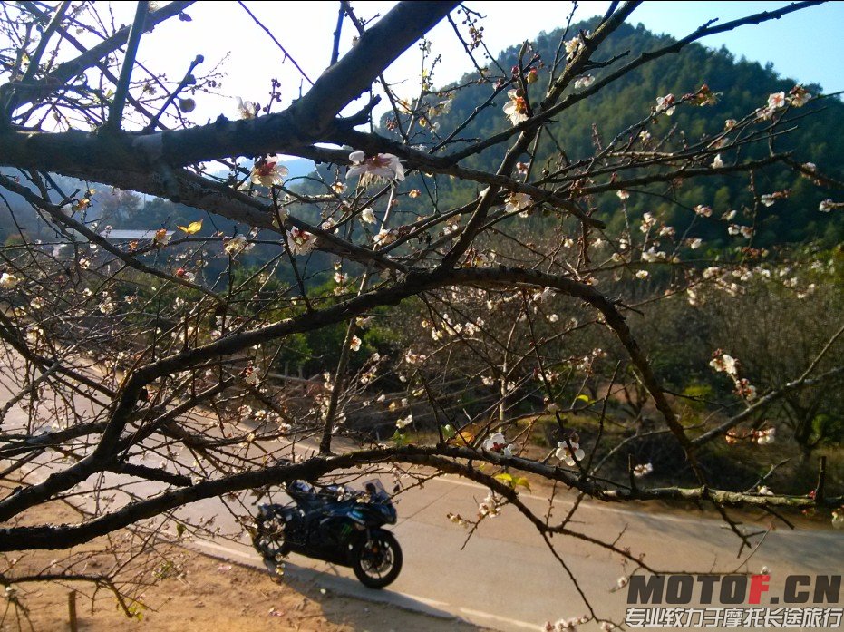 QQ图片20131231125640.jpg