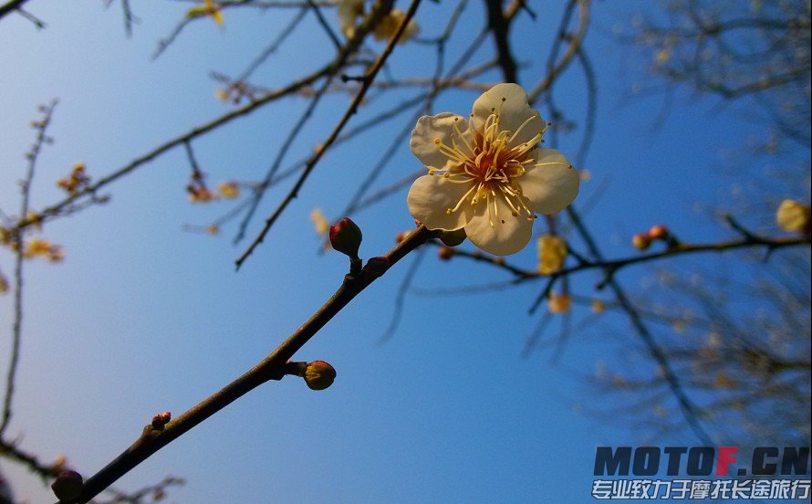 QQ图片20131231125700.jpg