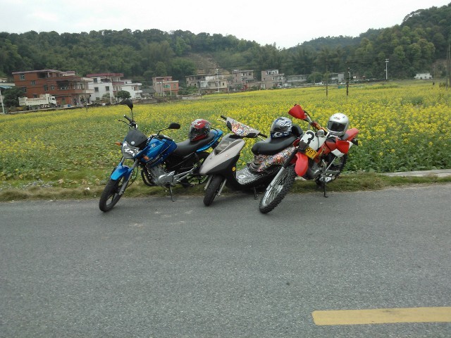 QQ图片20140101200440.jpg