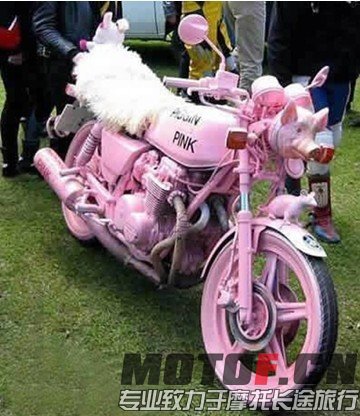 56_41289_a16a029d6f55fae.jpg