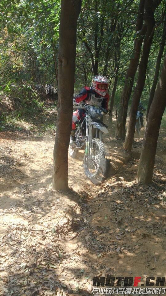 QQ图片20140101203020.jpg