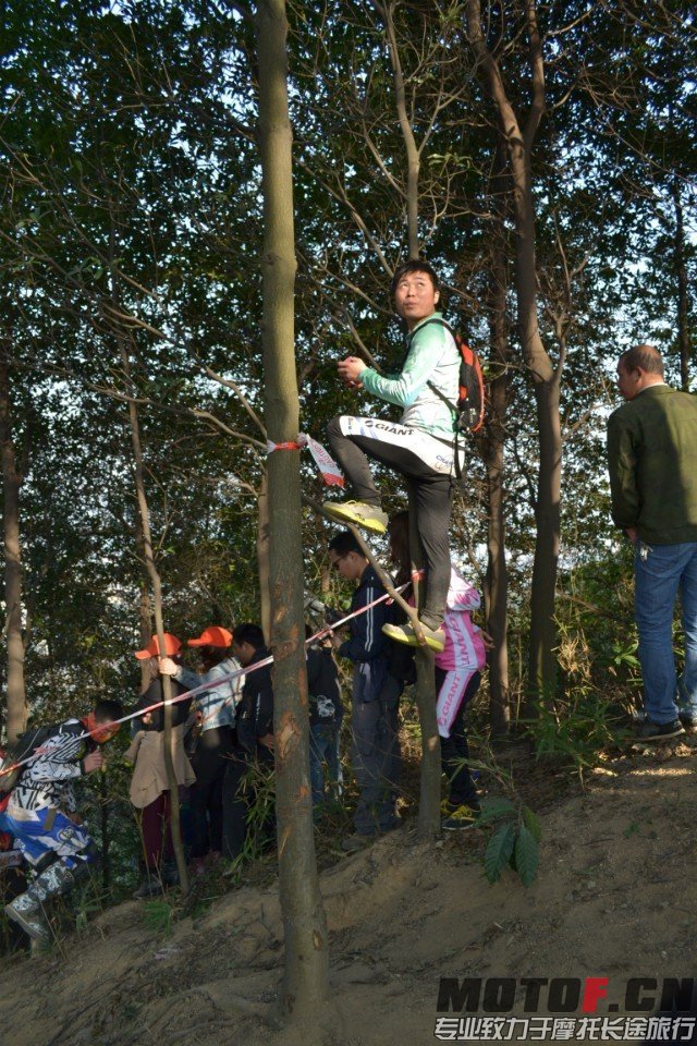QQ图片20140102083503.jpg