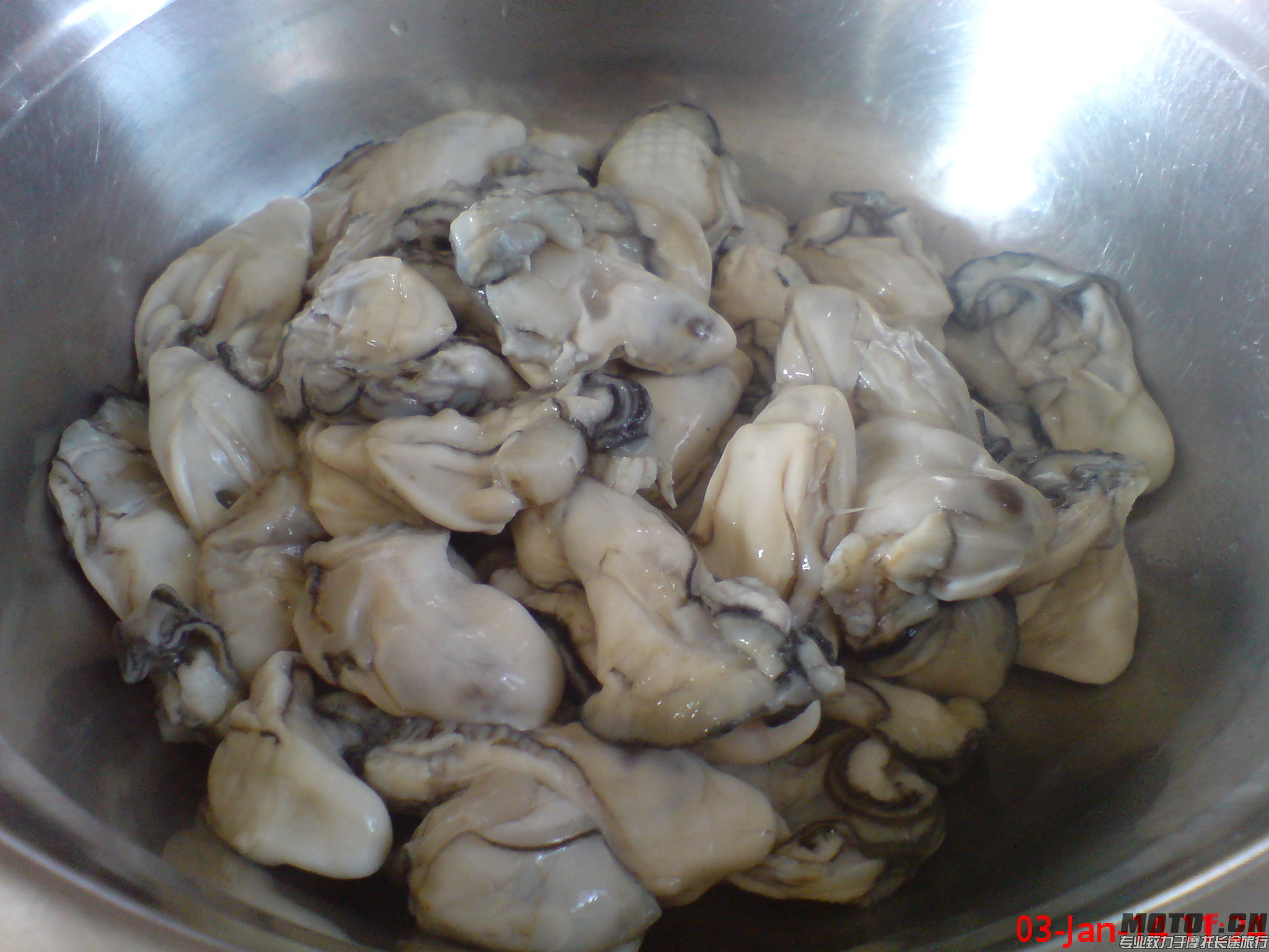 DSC01433.JPG
