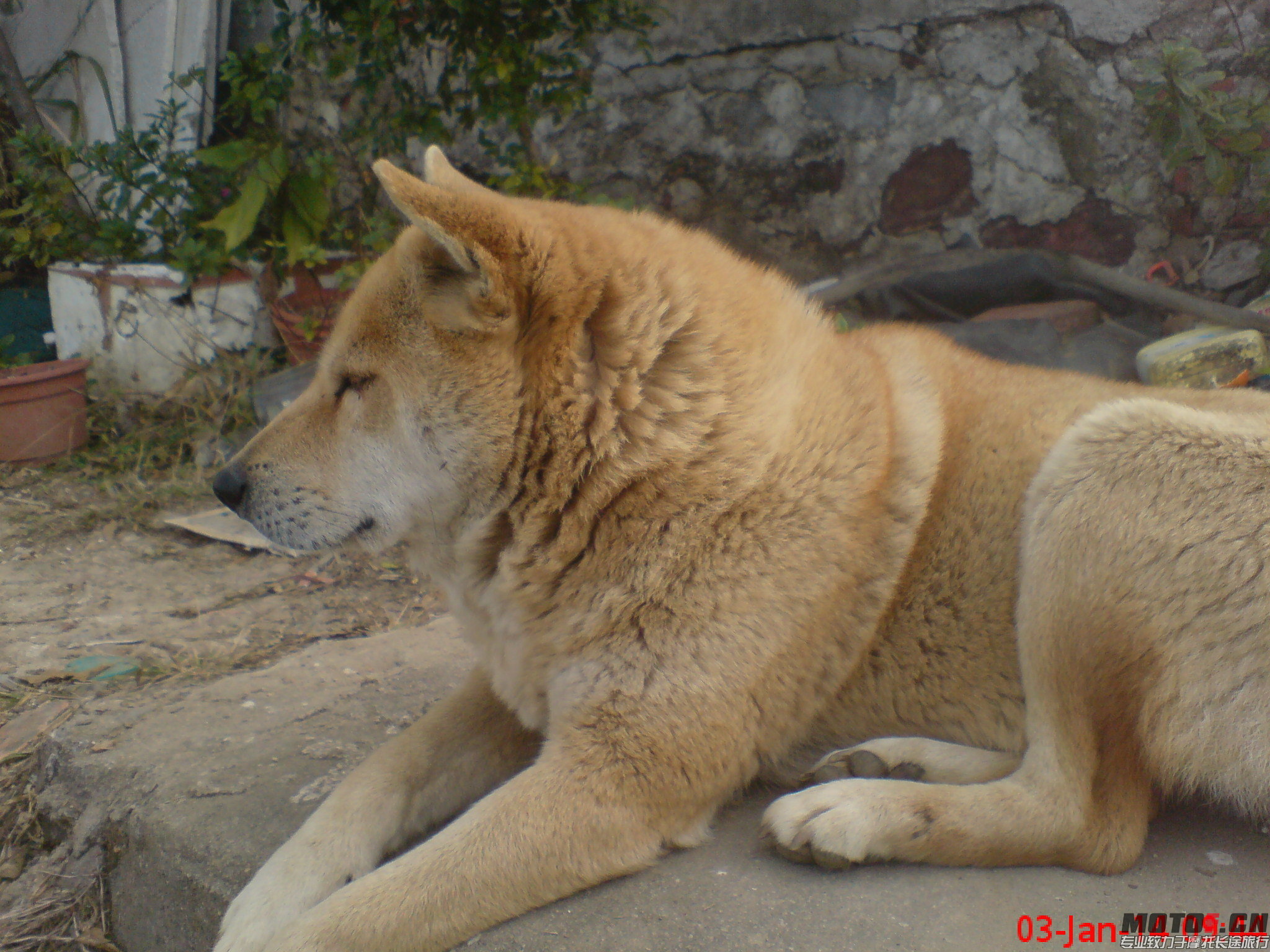 DSC01435.JPG