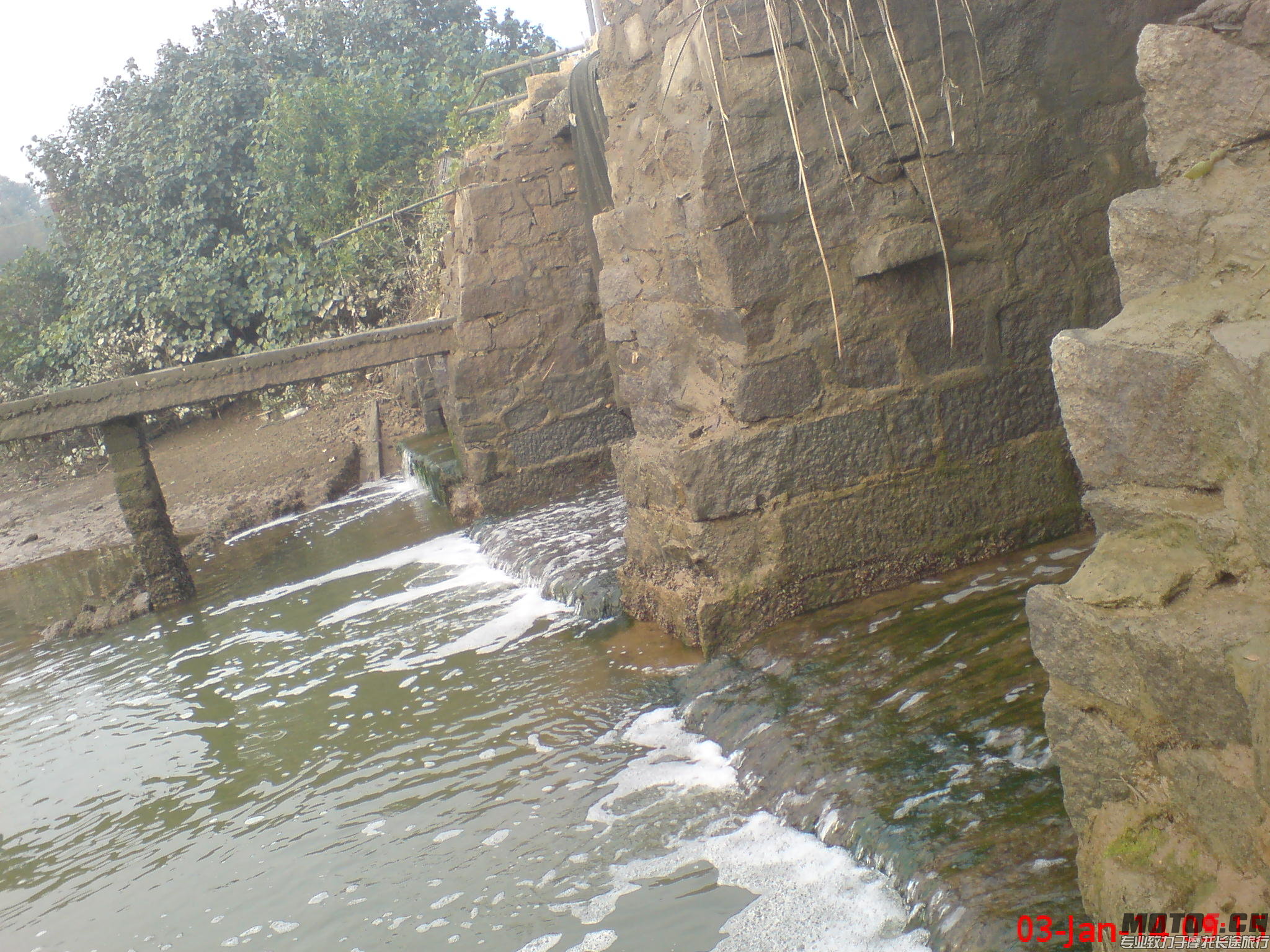 DSC01437.JPG