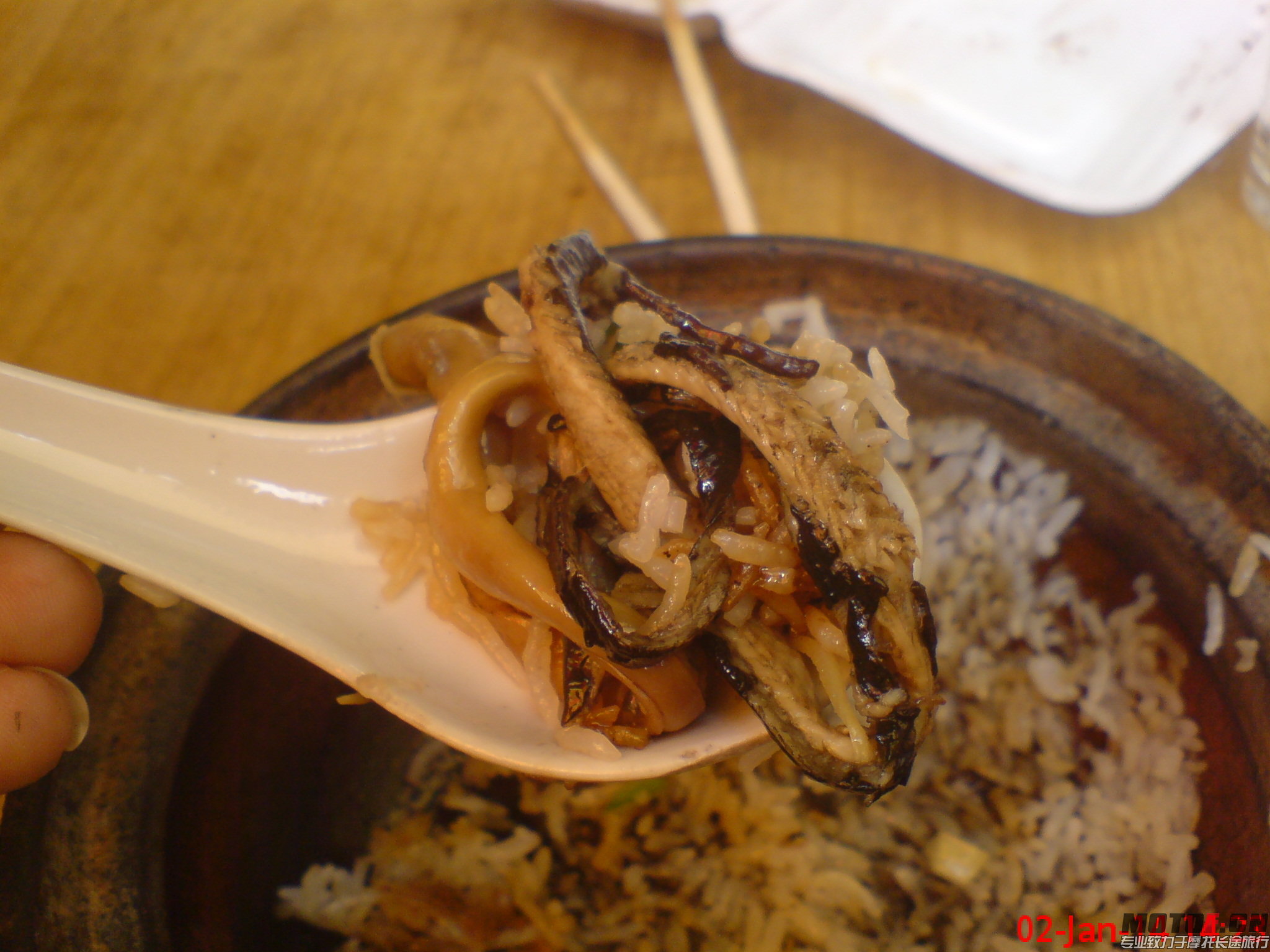 DSC01483.JPG