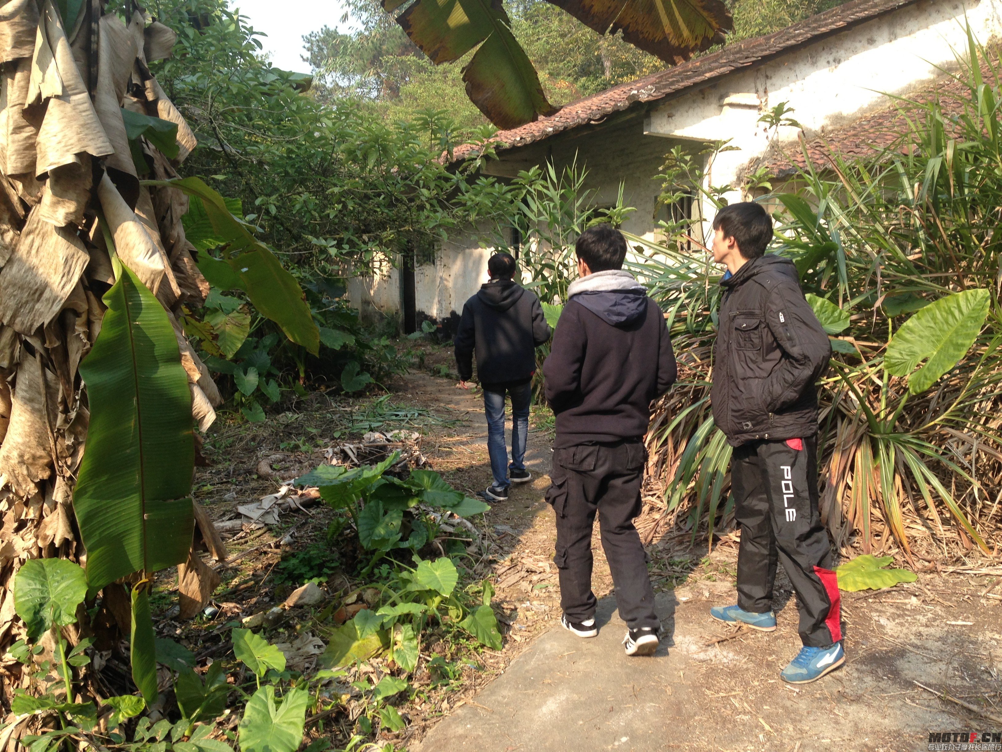 QQ图片20140106190103.jpg