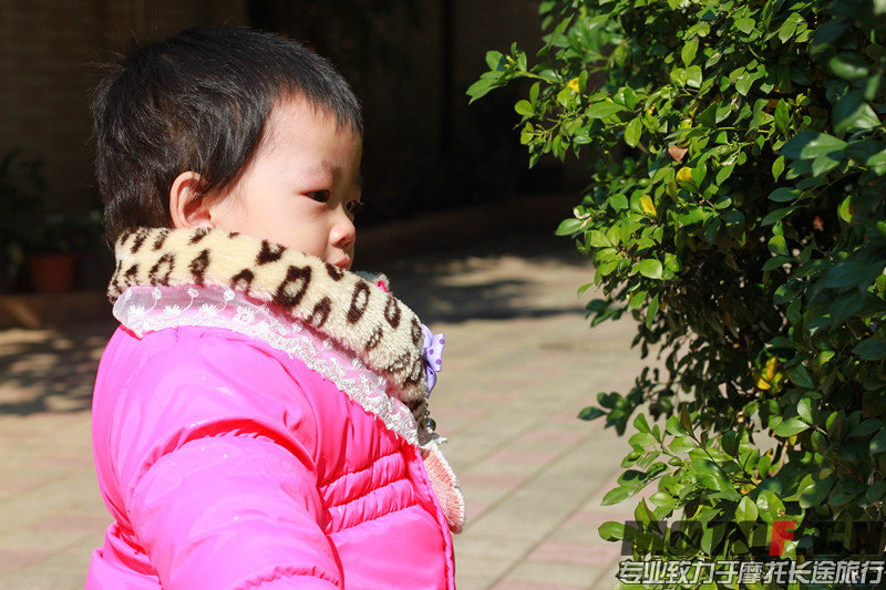 IMG_0423_副本.jpg