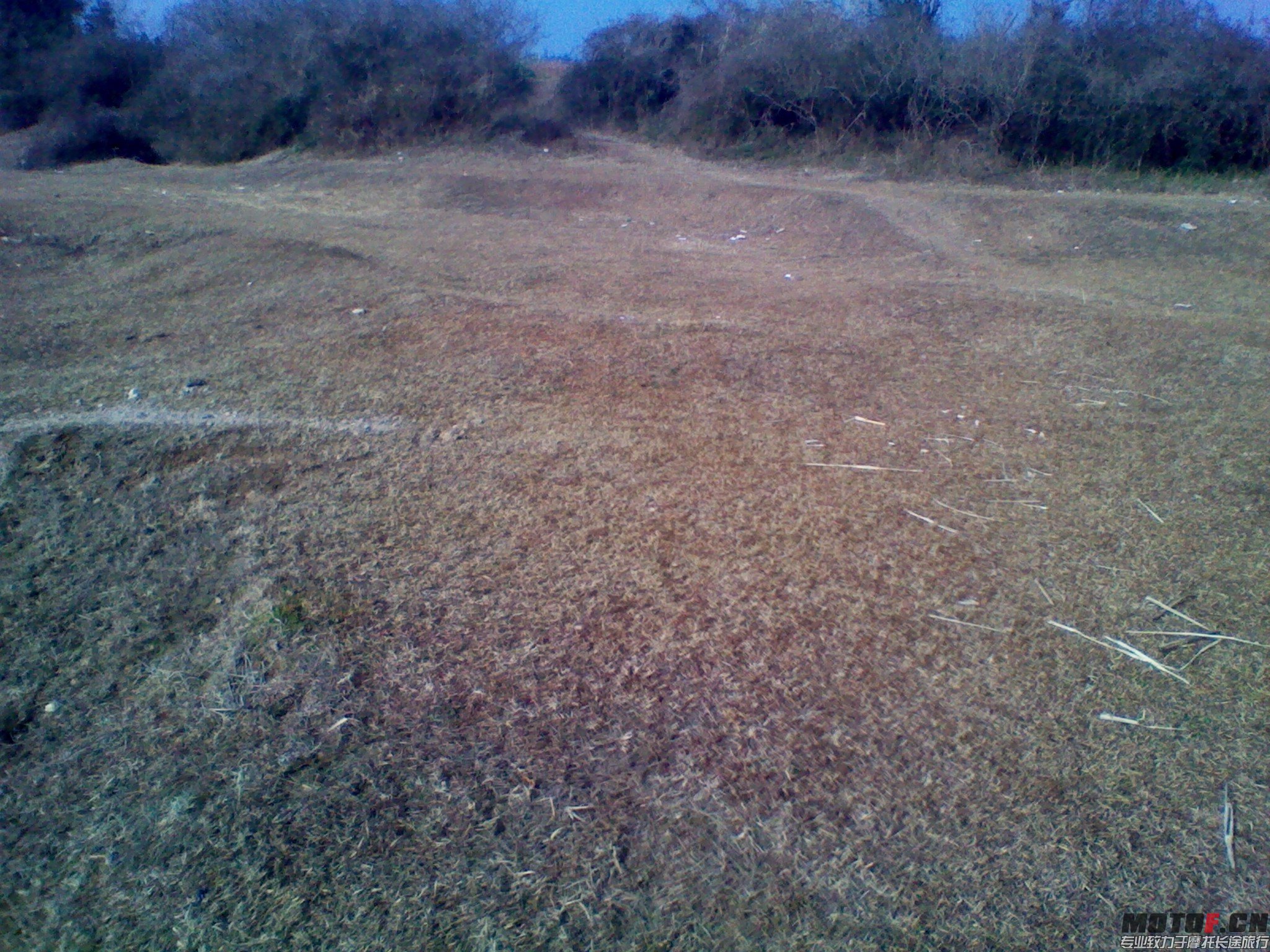 IMG_20140119_094914.jpg