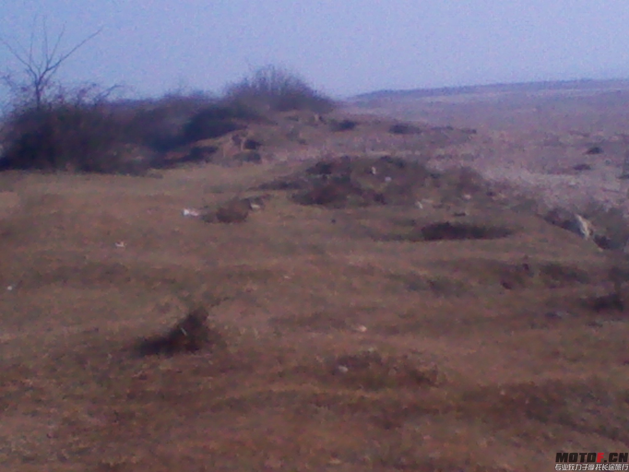 IMG_20140119_095009.jpg