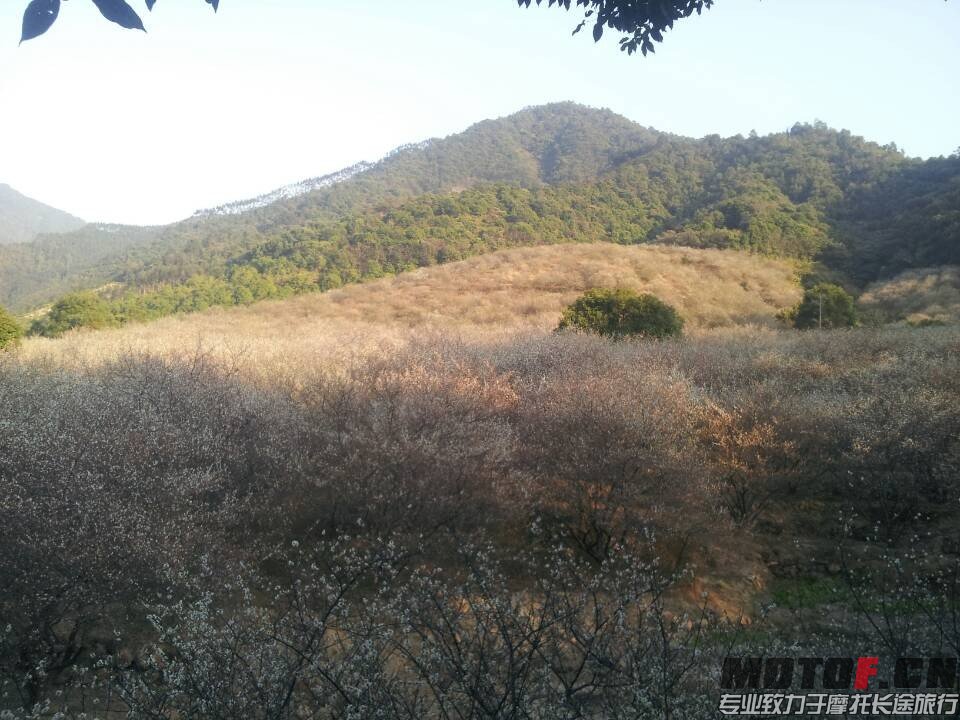 QQ图片20140123224556.jpg