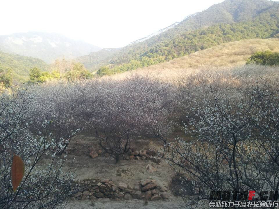 QQ图片20140123224601.jpg