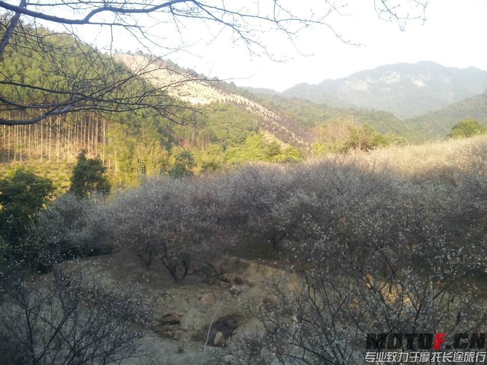 QQ图片20140123224614.jpg