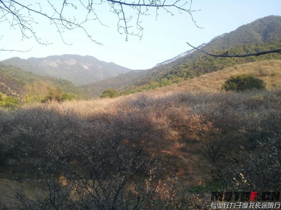 QQ图片20140123224617.jpg