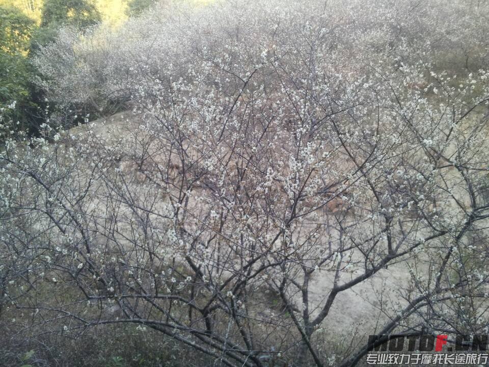 QQ图片20140123224620.jpg