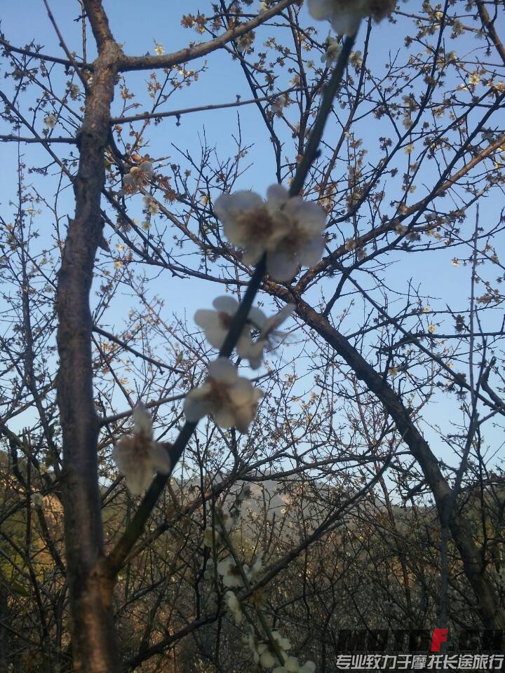 QQ图片20140123224624.jpg