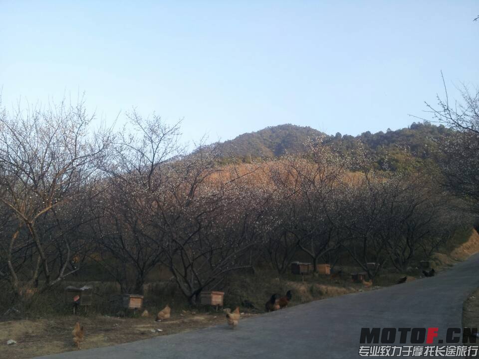 QQ图片20140123225537.jpg