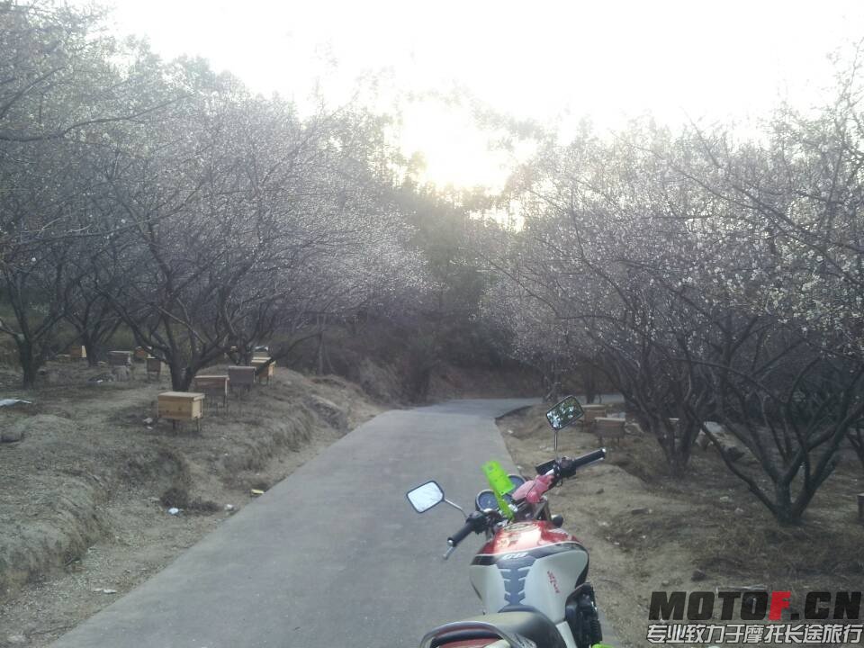 QQ图片20140123225541.jpg