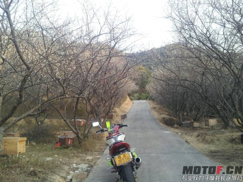 QQ图片20140123225551.jpg