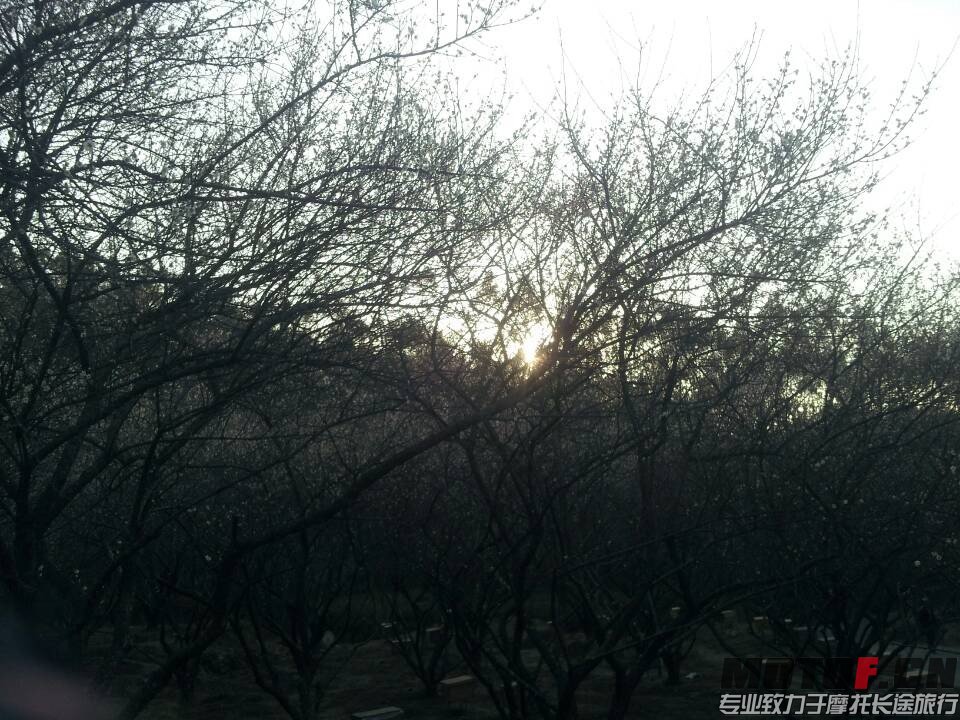 QQ图片20140123225556.jpg