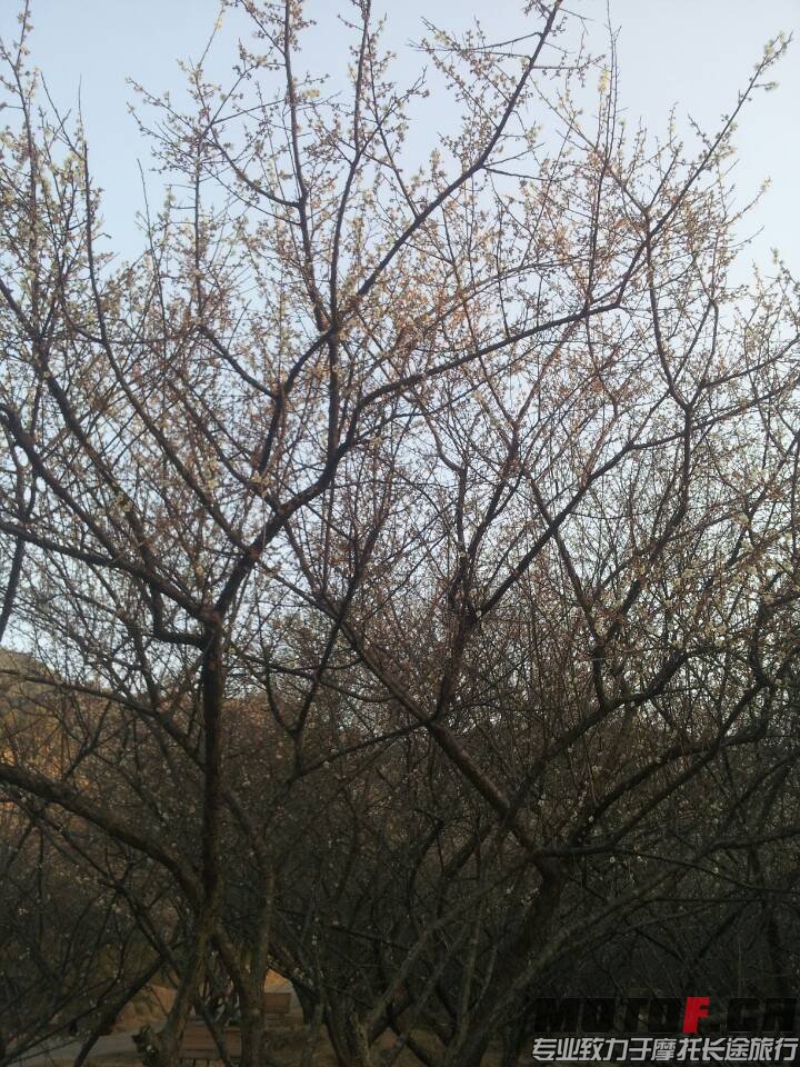 QQ图片20140123225600.jpg
