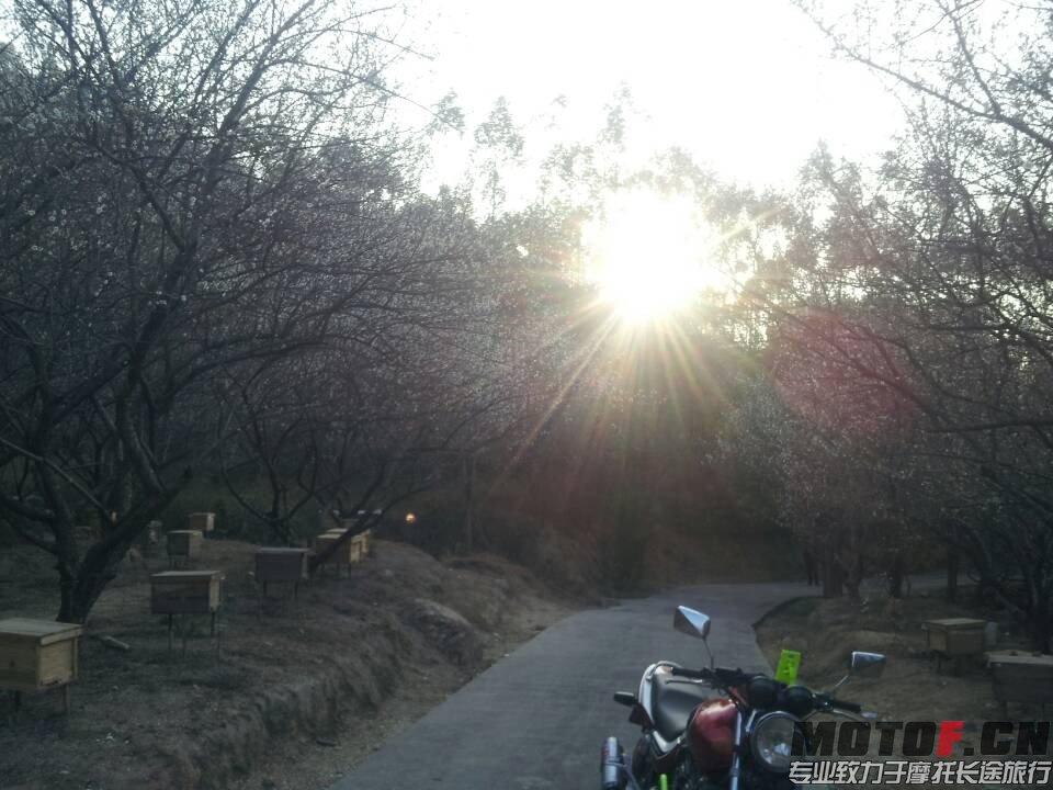 QQ图片20140123225603.jpg
