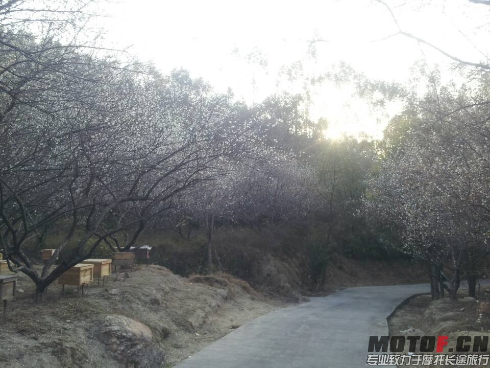 QQ图片20140123225608.jpg