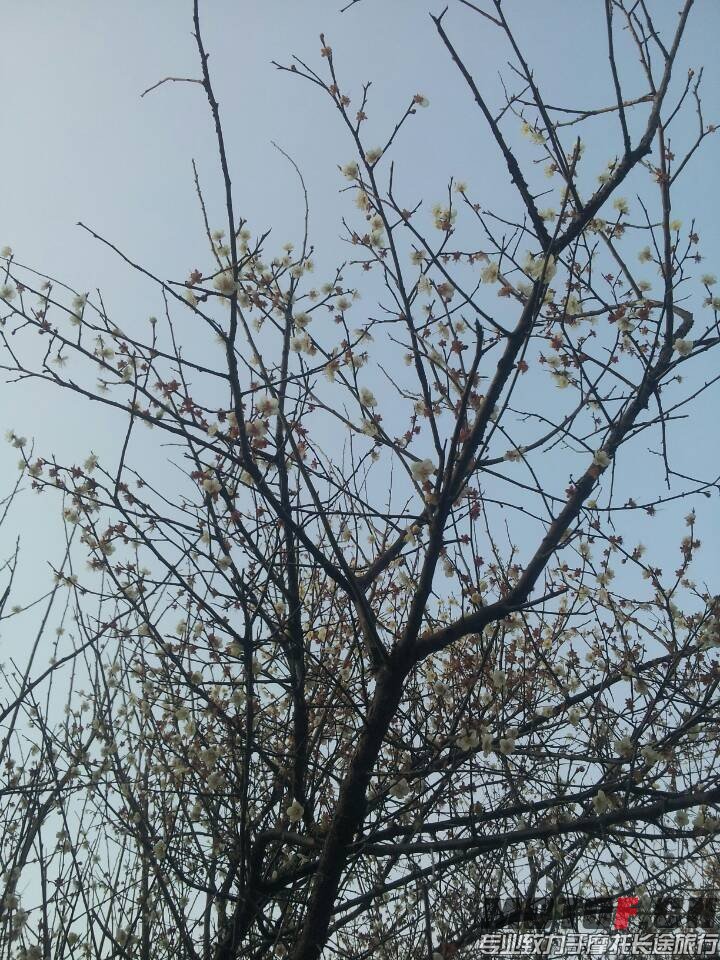 QQ图片20140123225616.jpg