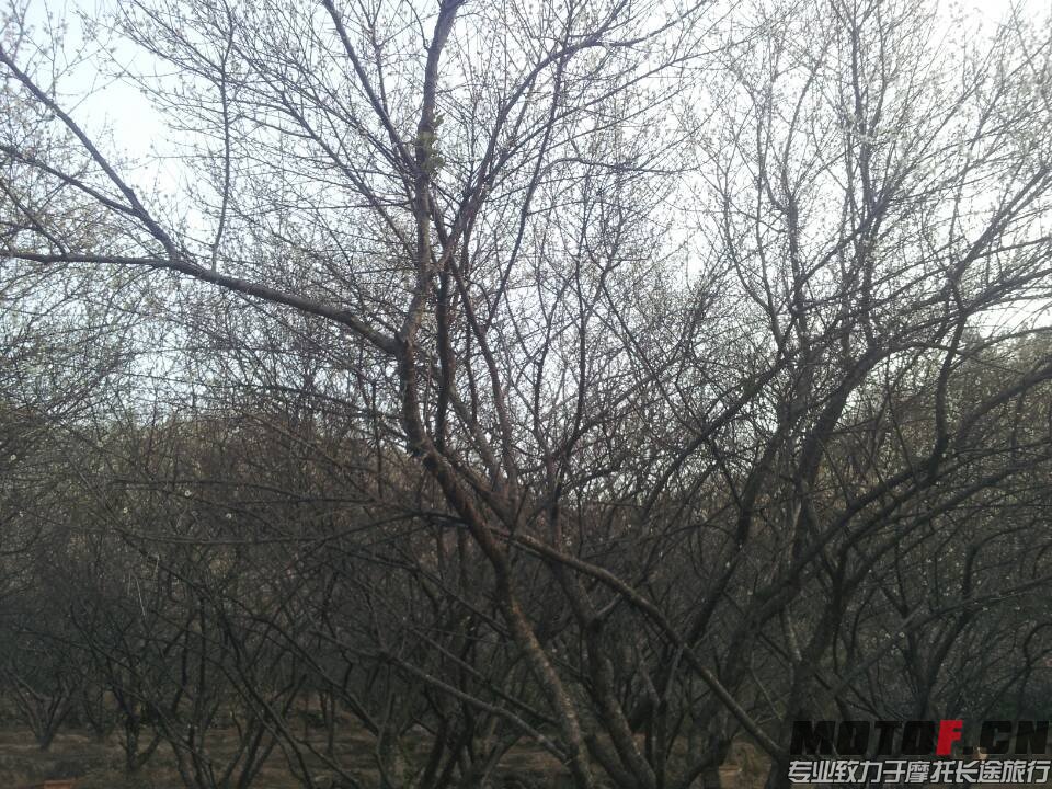 QQ图片20140123225621.jpg